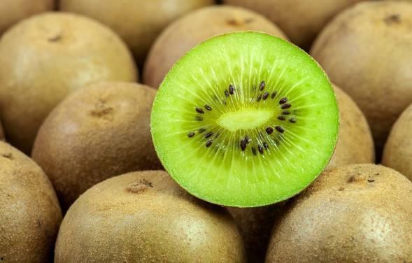 猕猴桃最新爆料视频下载,最新爆料视频带你探秘果实奥秘 第2张 猕猴桃最新爆料视频下载,最新爆料视频带你探秘果实奥秘 第2张